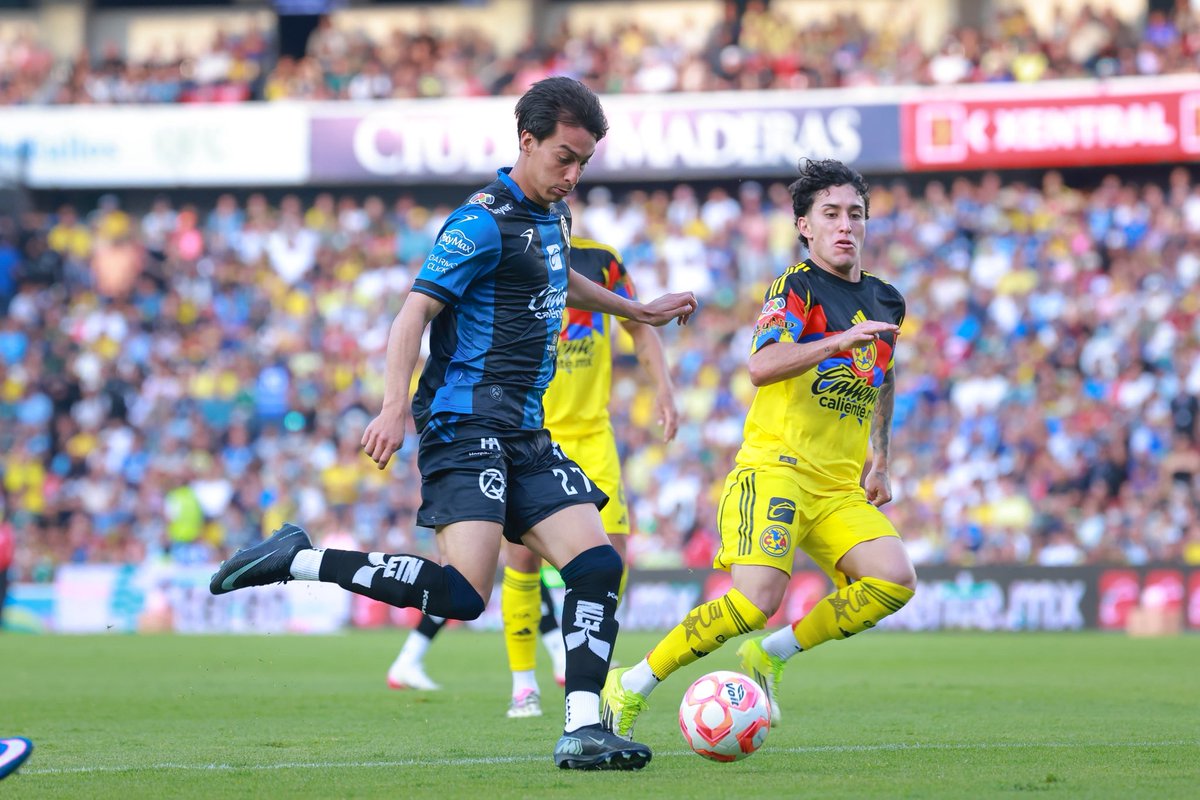 La Previa Del Gallo tweet media