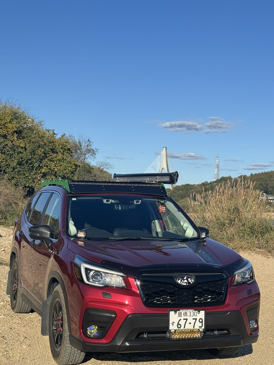 そう mjo 5/3フォレオフ! tweet media