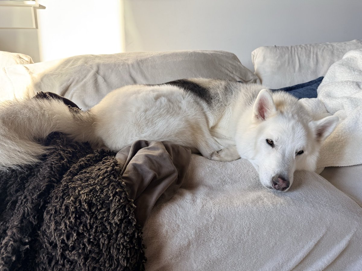 cynthia frelund tweet media