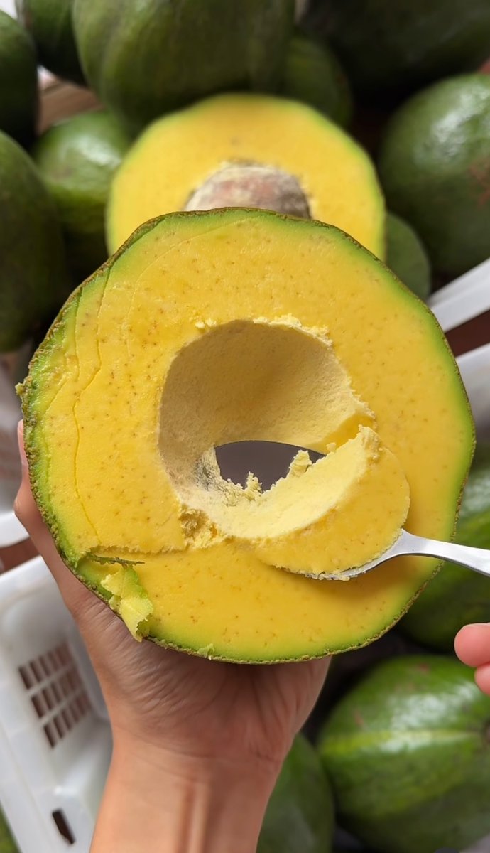 Zimviral 𝕏 tweet media