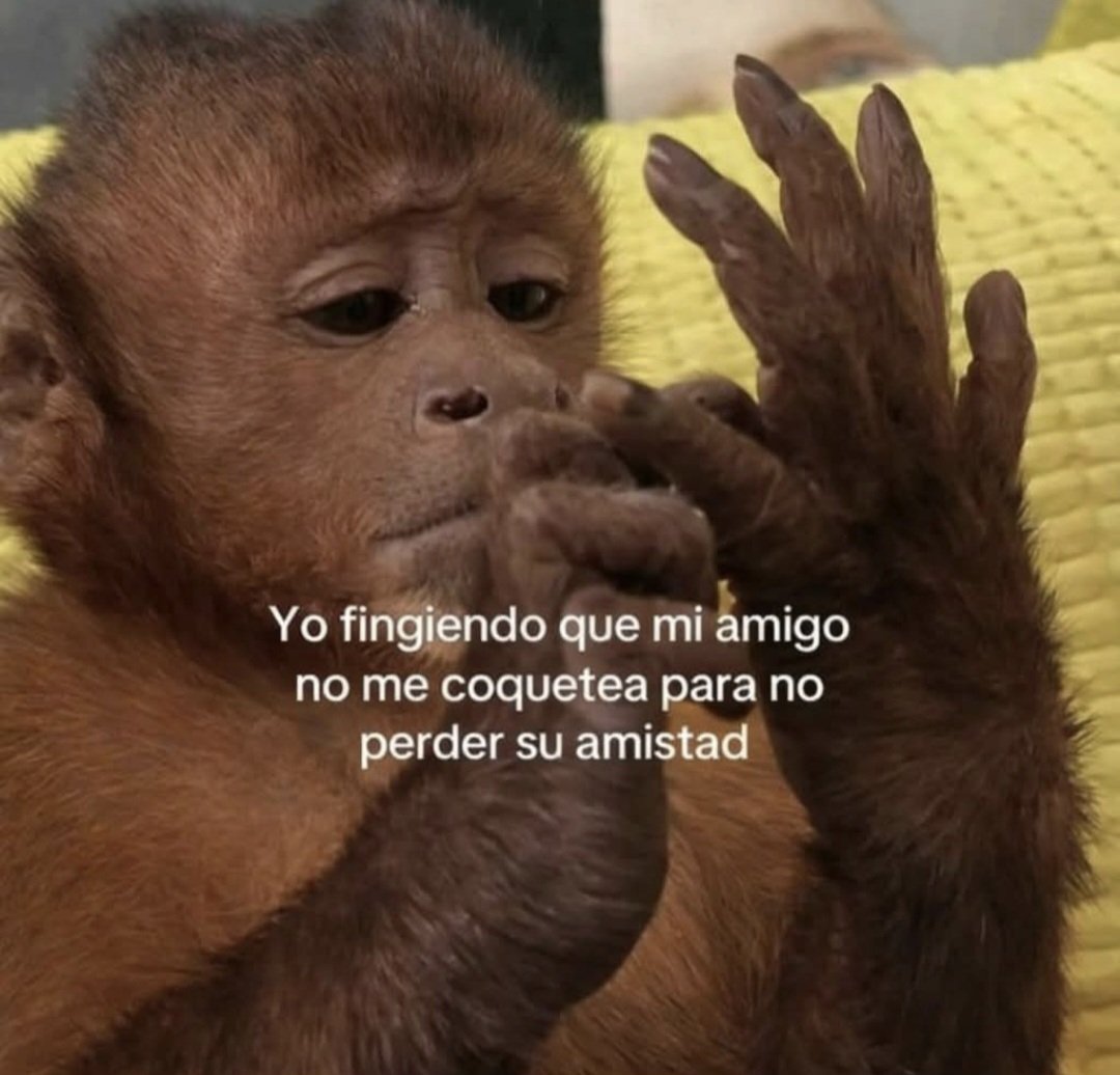 🦔.• (@tairacoria) on Twitter photo 