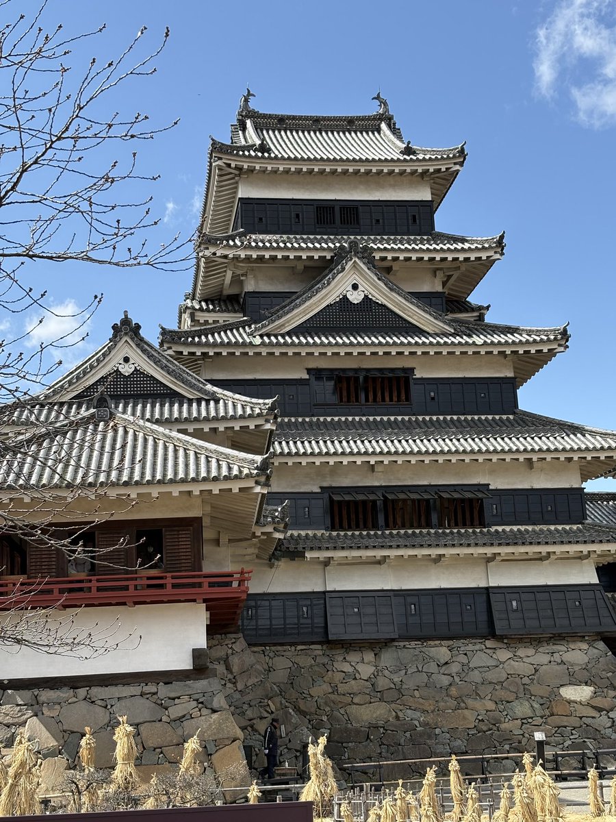 Yumi Asai tweet media