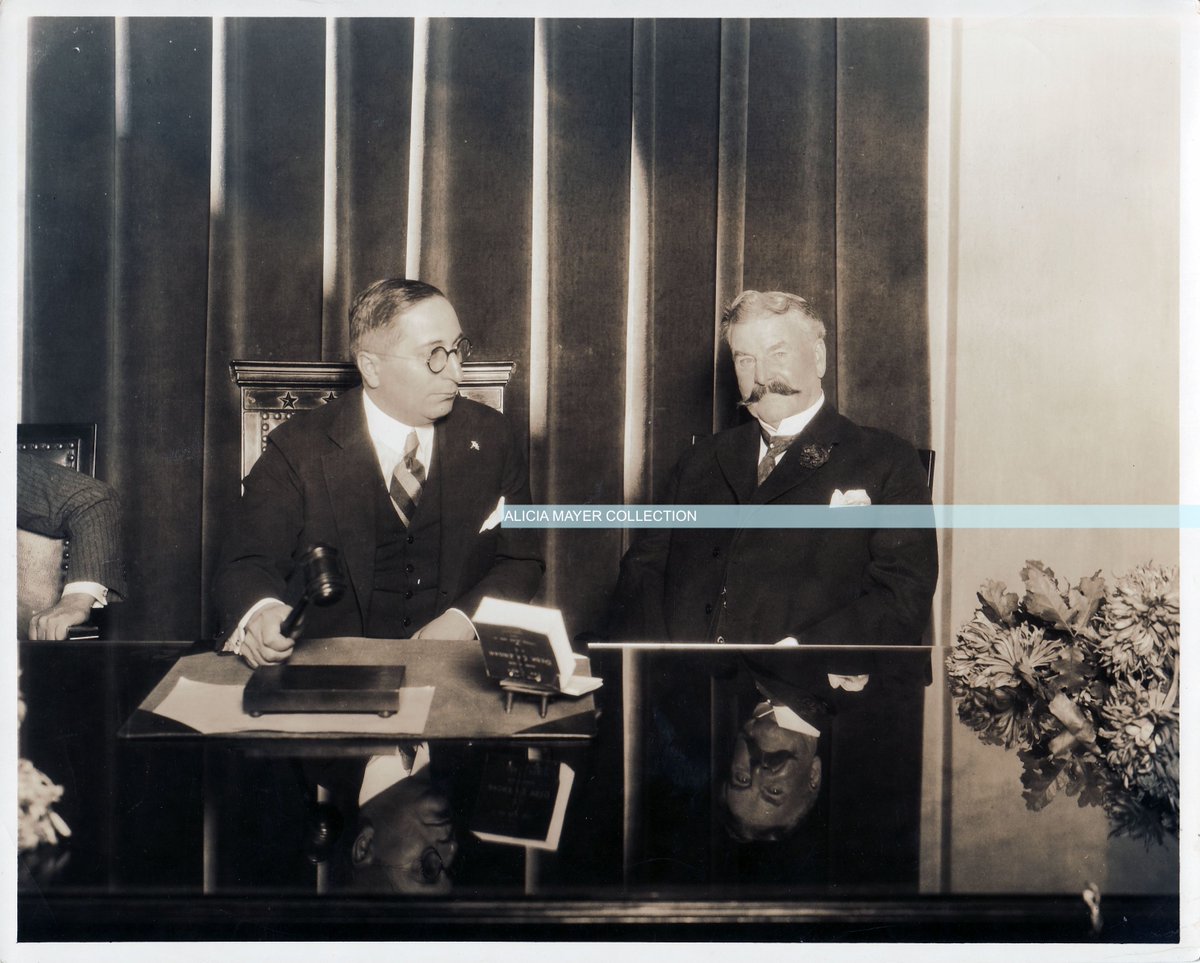 Ali Mayer tweet media