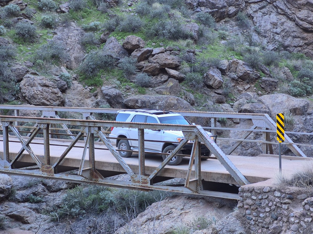 🍐Bash✌️🐾 tweet media