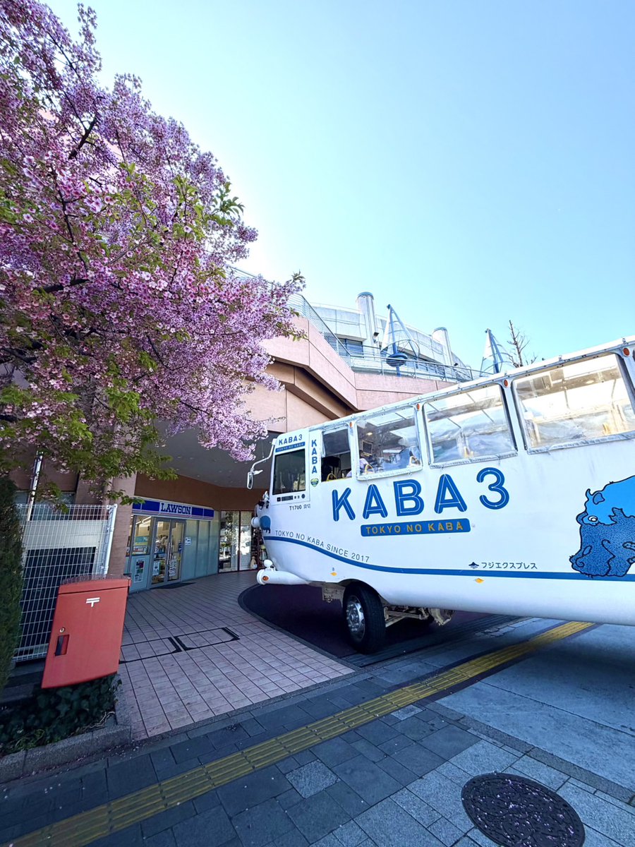 tokyo_kaba's tweet photo. 本日も元気に運行中です。  
お台場では桜を見ることができます。 
３月の後半は平日運行もいたします。  

土日や春休みはぜひお台場に！！
お待ちしております！😊 https://t.co/MNVtn2ubmf