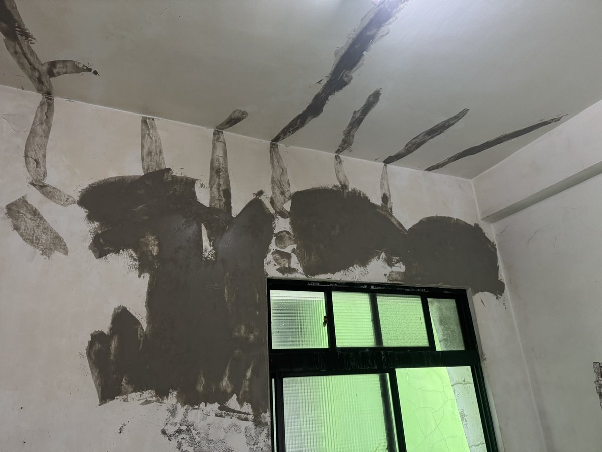 舌姬🐍 tweet media