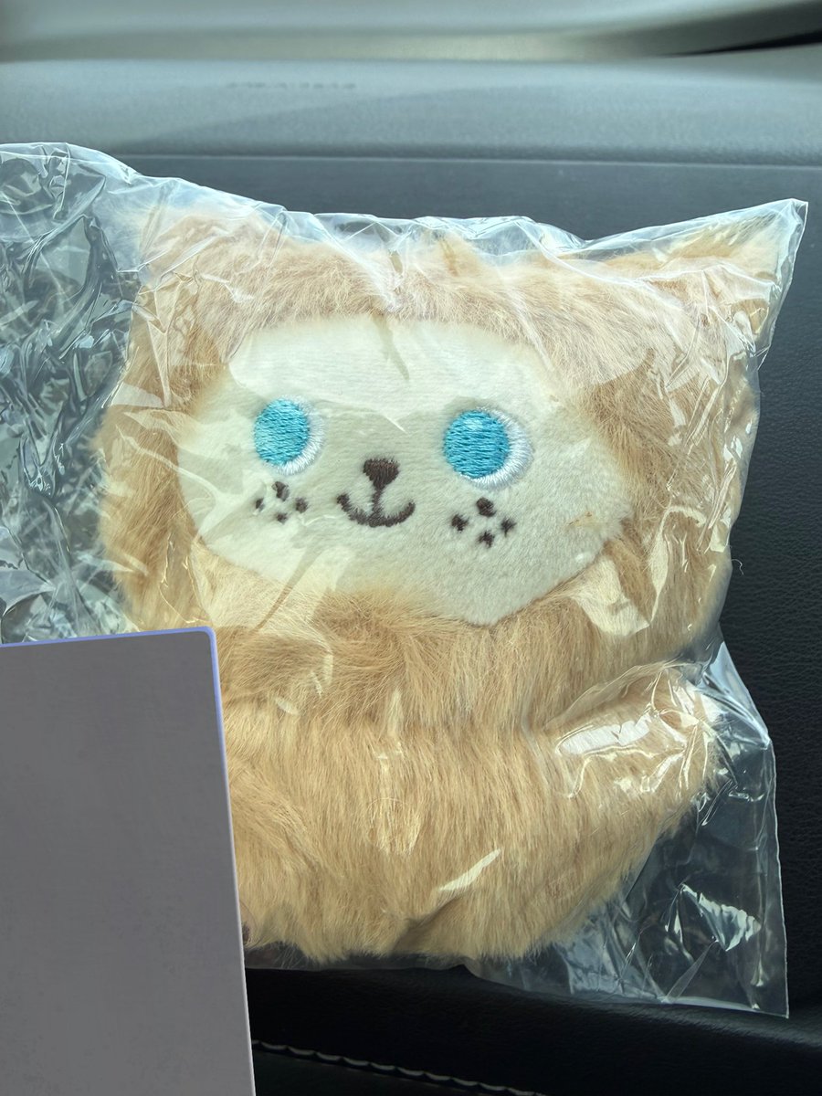 𝗇𝗒𝖺 tweet media