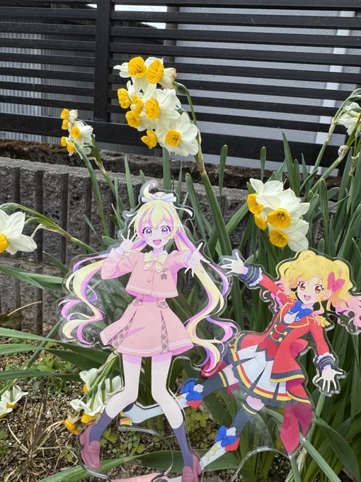 あらやだん〜 めちゃくちゃ写真映えするわん(ω) 春来たらと撮りたいわん