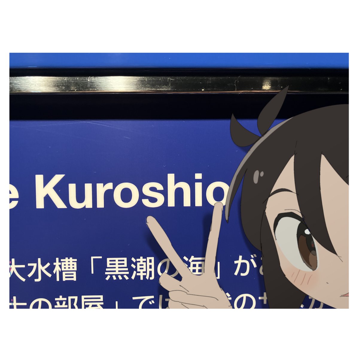 siyuyukika tweet media