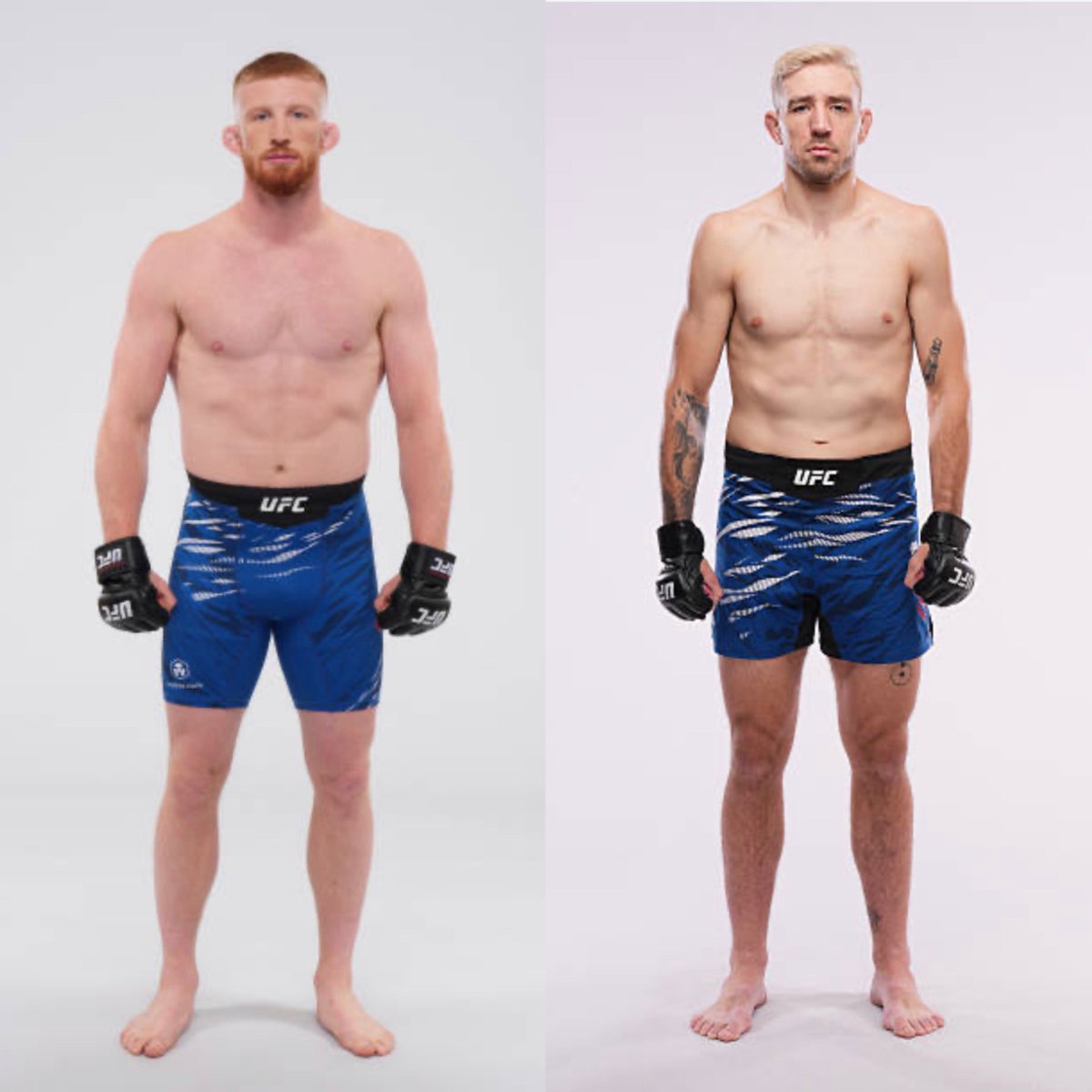 MMA Orbit tweet media