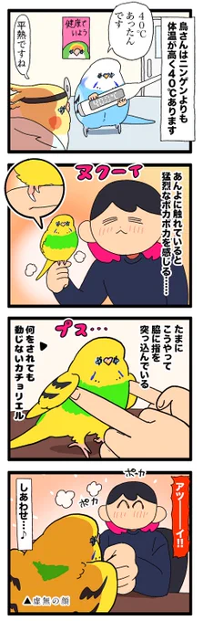カチョさんの脇、ポカポカのプスプス👉

2266 #えるポピの絵日記かくところ 