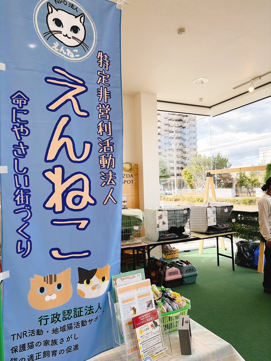 NPO法人えんねこ tweet media