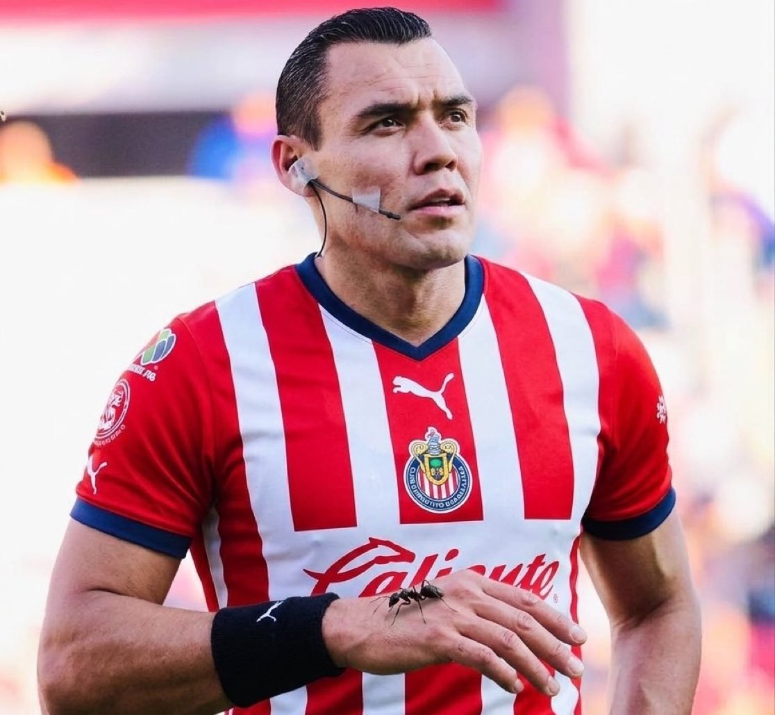 𝐬𝐚𝐮𝐥 🇧🇷 tweet media