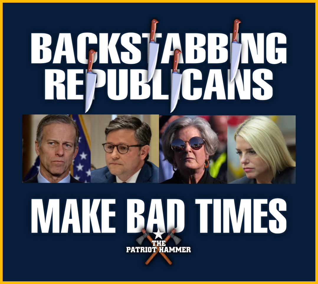 The Patriot Hammer tweet media