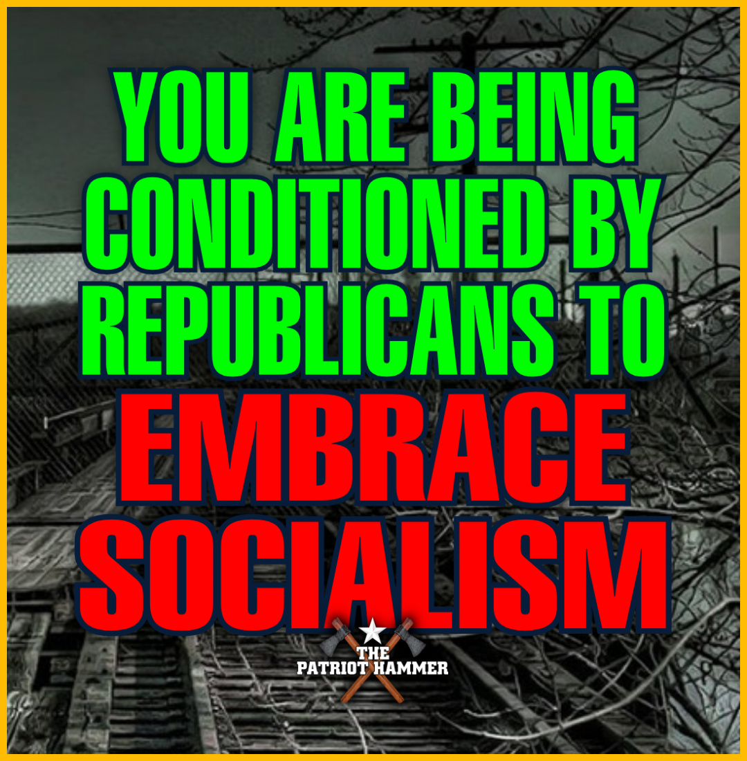 The Patriot Hammer tweet media