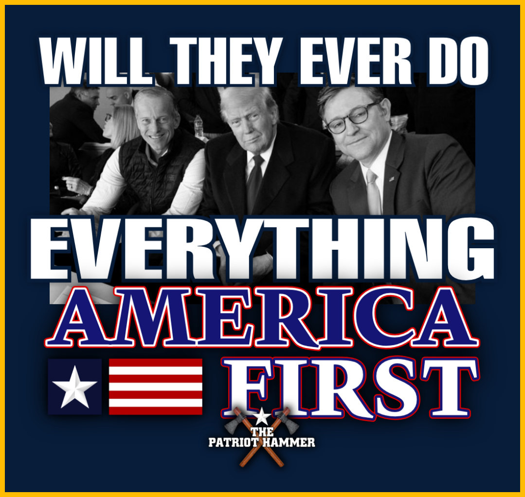 The Patriot Hammer tweet media