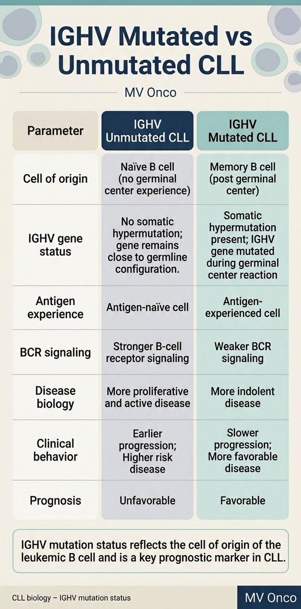 MV Chandrakanth tweet media