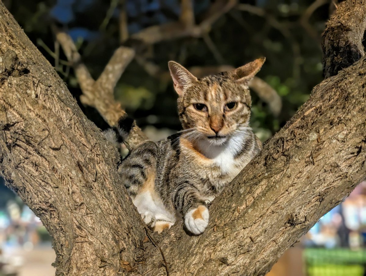 旅丸sho🎒旅する経営者 tweet media