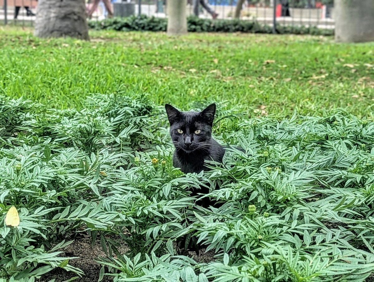 旅丸sho🎒旅する経営者 tweet media