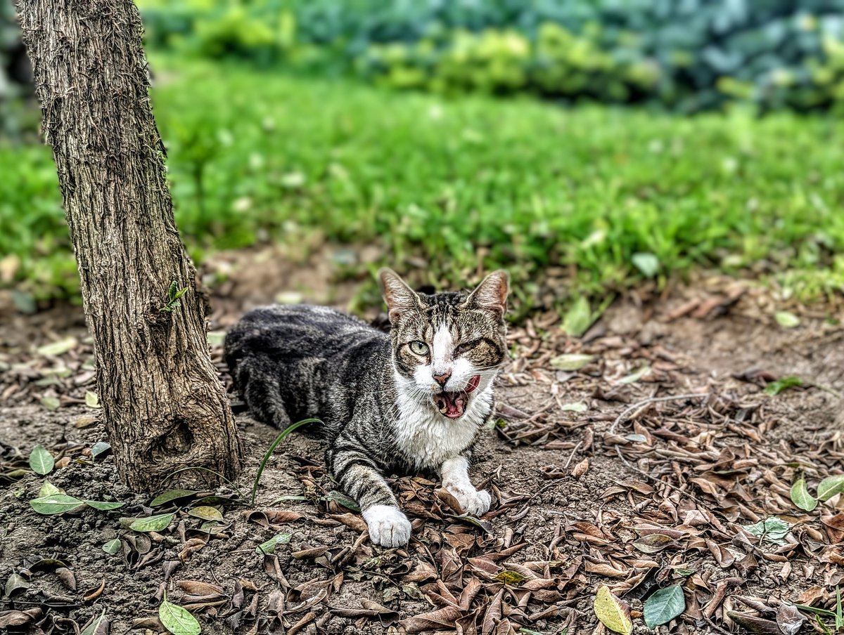 旅丸sho🎒旅する経営者 tweet media