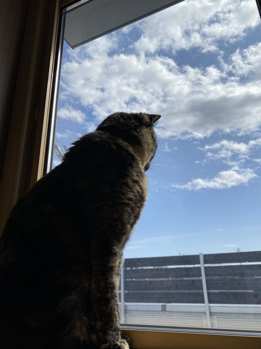 長坂雅司 tweet media