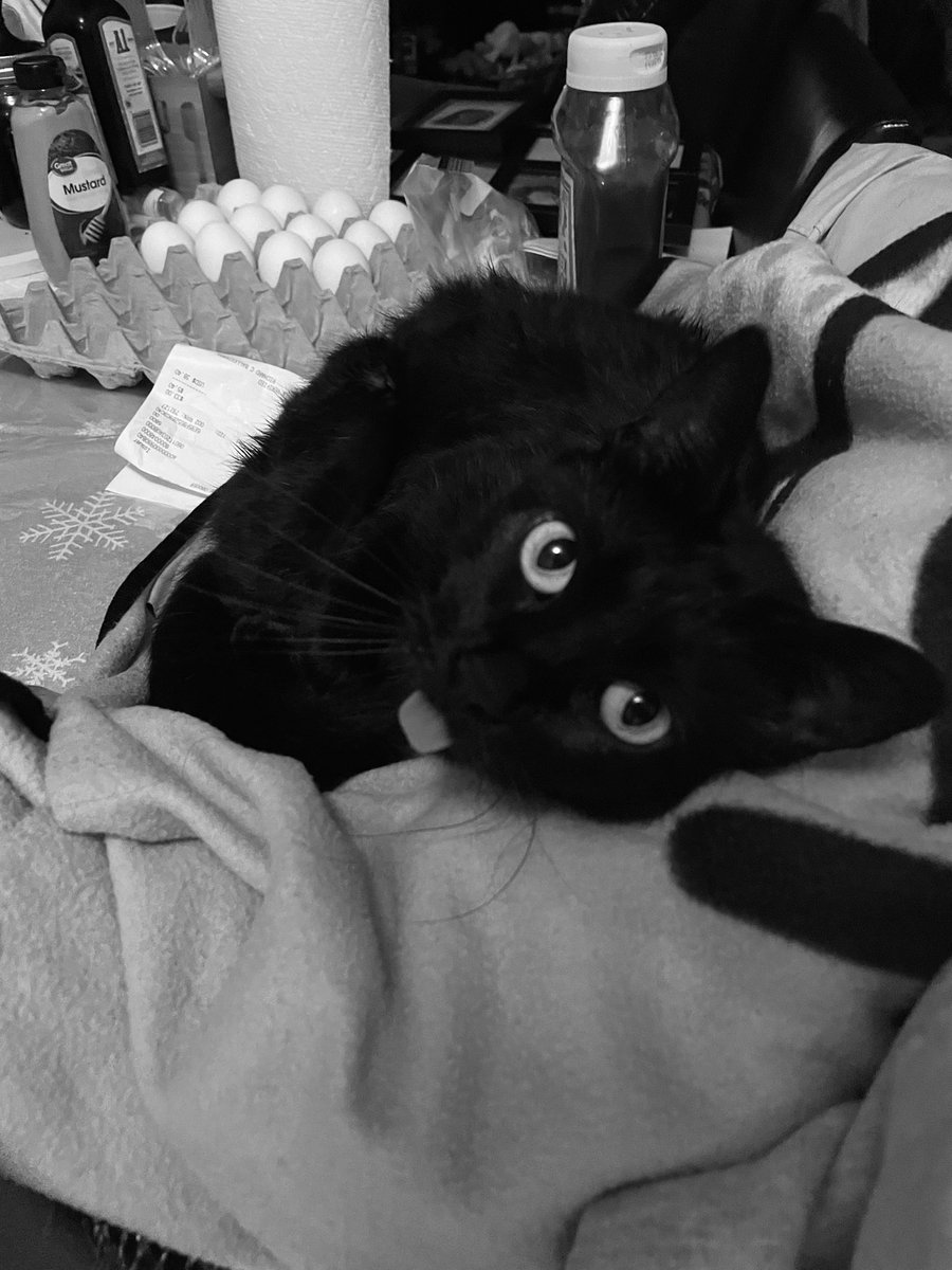 Kokiri Kid 07 tweet media