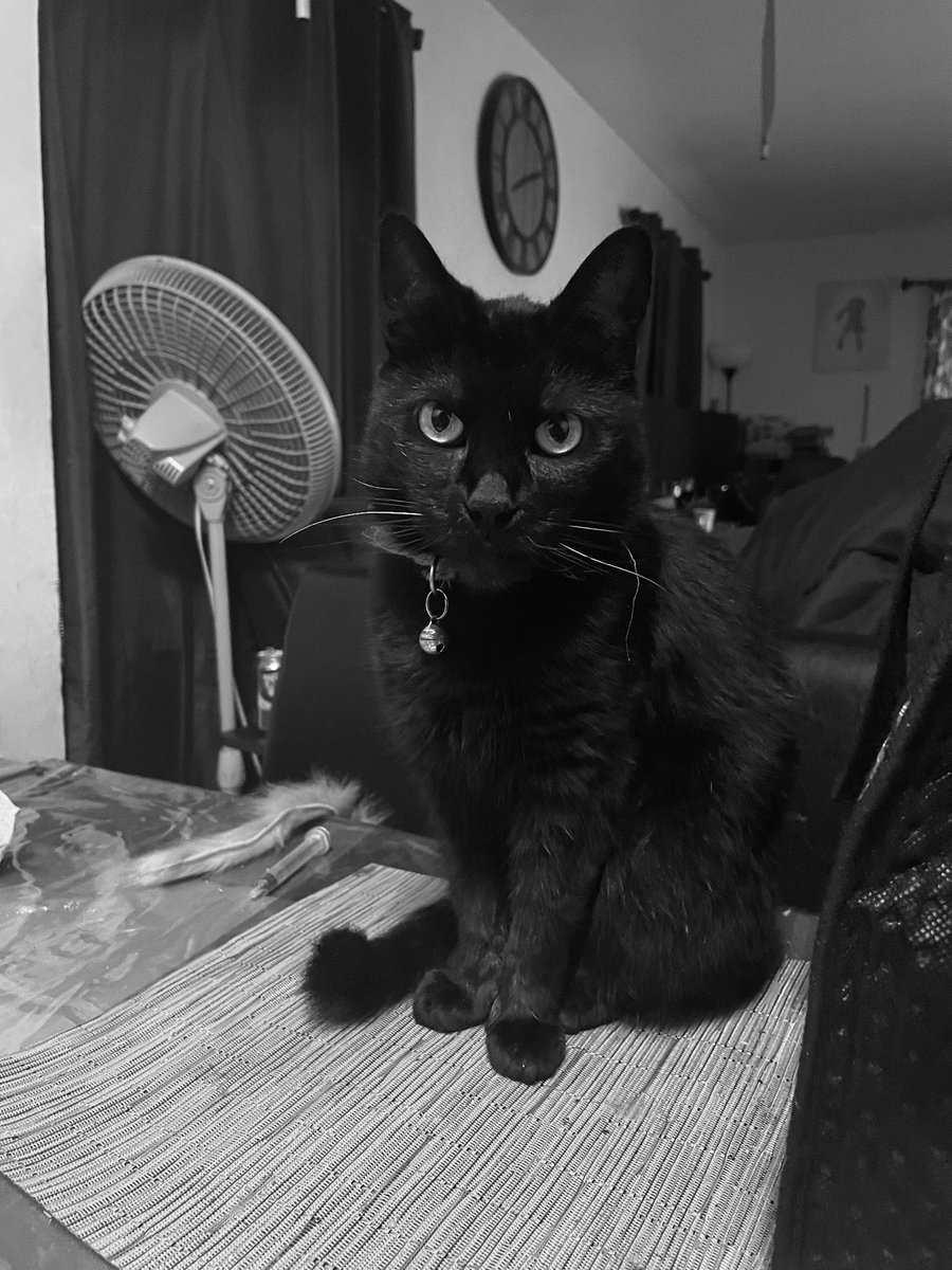 Kokiri Kid 07 tweet media