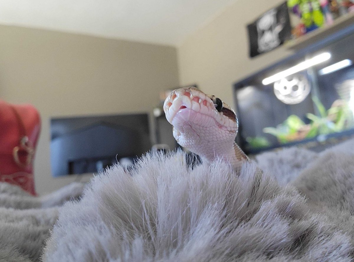 SOUNDBBABE💎 tweet media