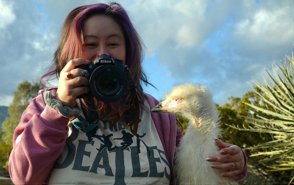 MerdreaStar 🐲 tweet media