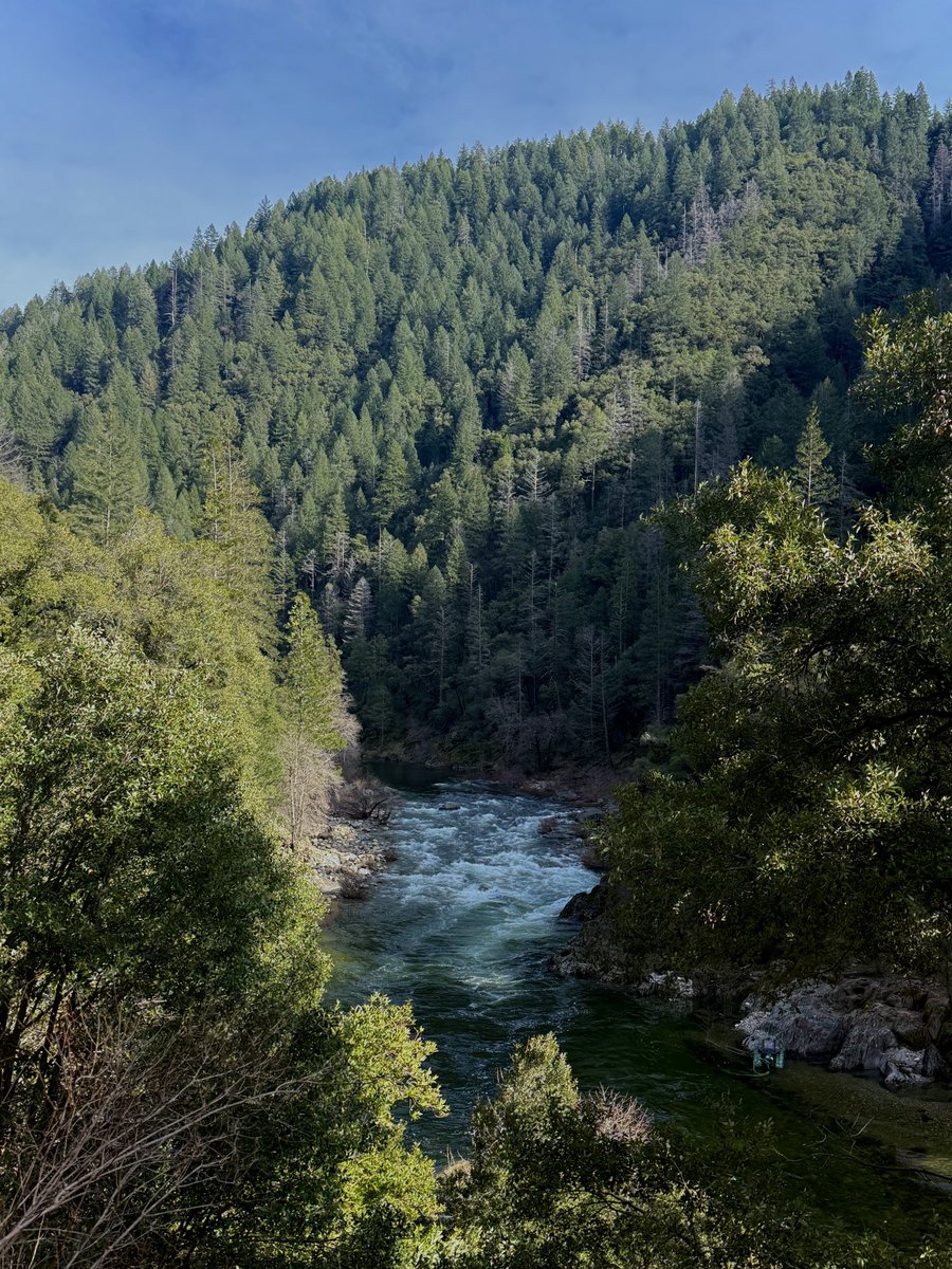 Bronze Goat tweet media