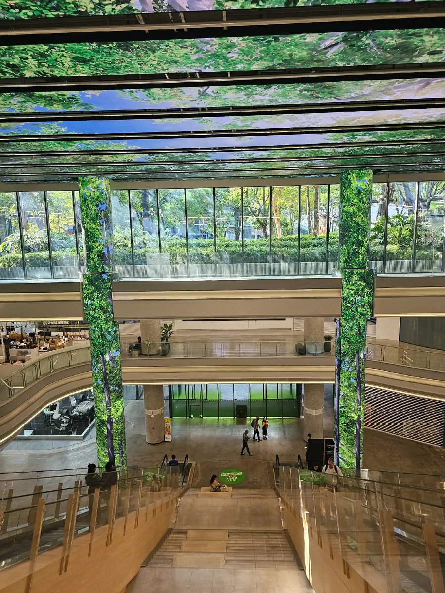 Jonathan Filbert tweet media