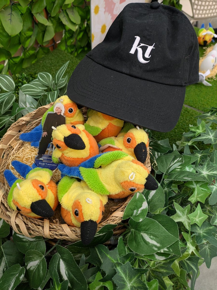 天気も良くて、友達家族と掛川花鳥園へ。ぬい撮りスポットで、浩二さまを❤
フクロウもハリスホークもかっこよい。