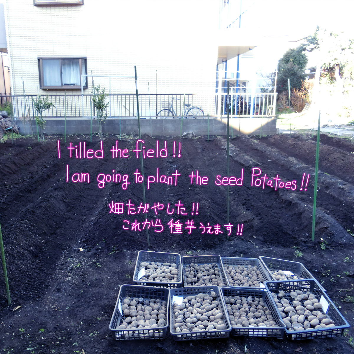 ぴろぴと tweet media