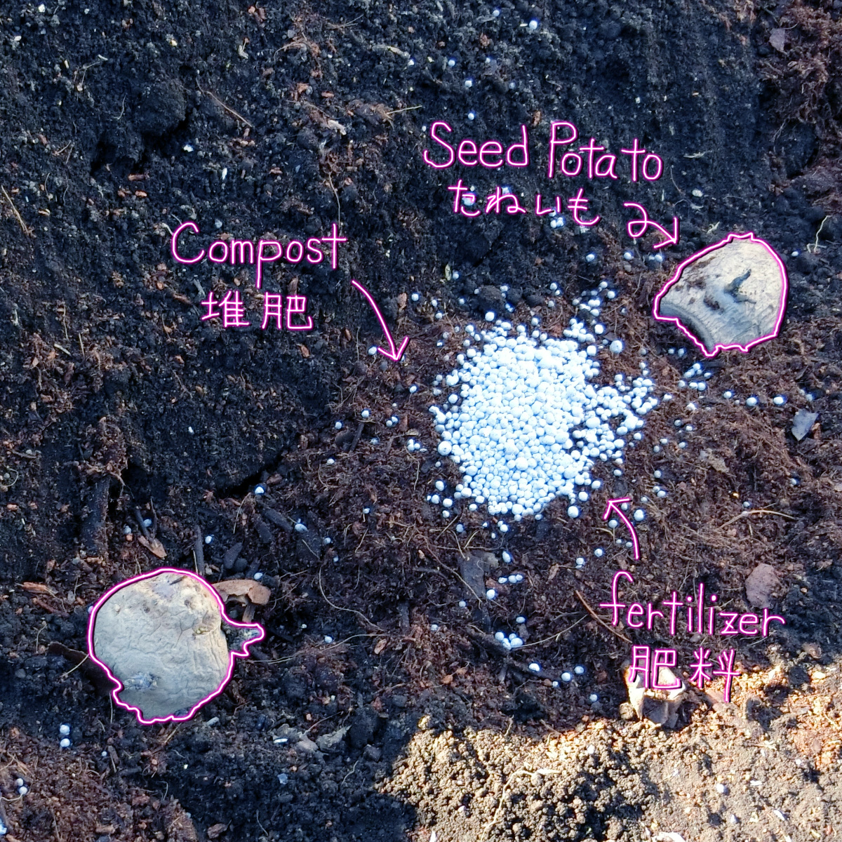 ぴろぴと tweet media