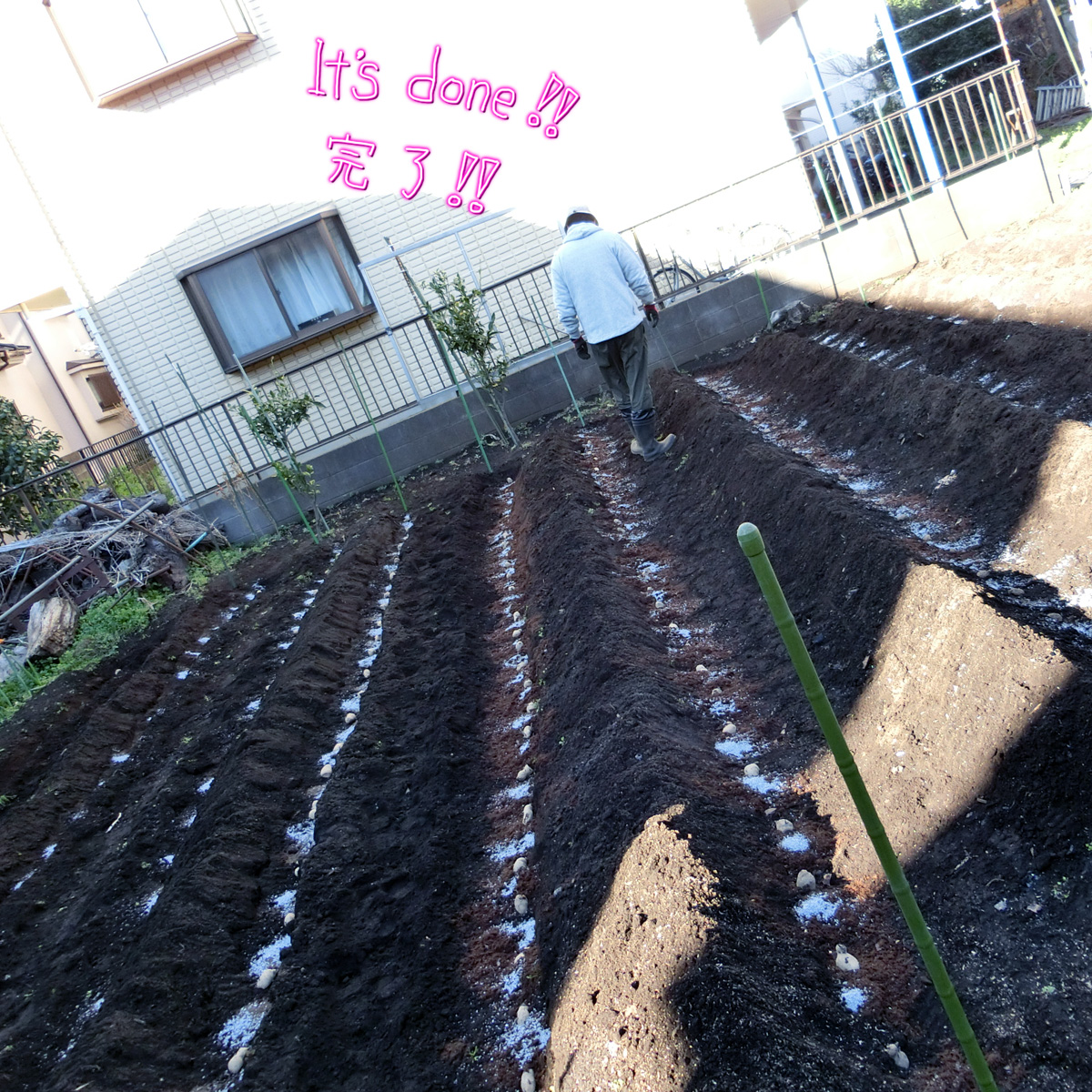 ぴろぴと tweet media