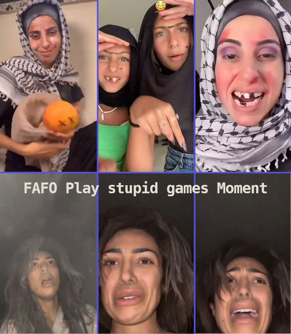 FethiAslan Köpek Sorunu tweet media