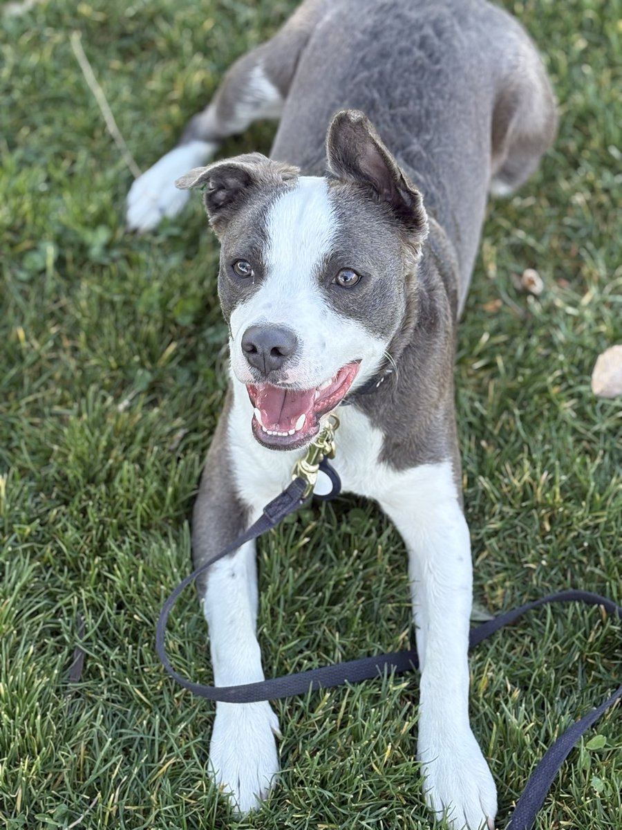 So my dad was traveling and he didn’t post one single picture of me here. I’m seriously mad. Can I came and stay with you until my dad gets his act together? The nerve of that dude!