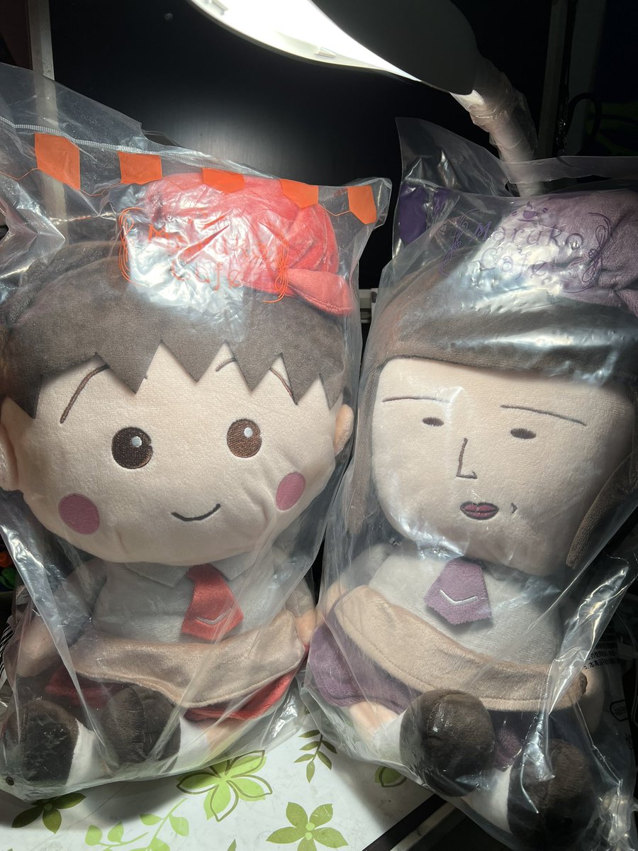 顆顆！野口來報到！
#櫻桃小丸子 #chibimarukochan