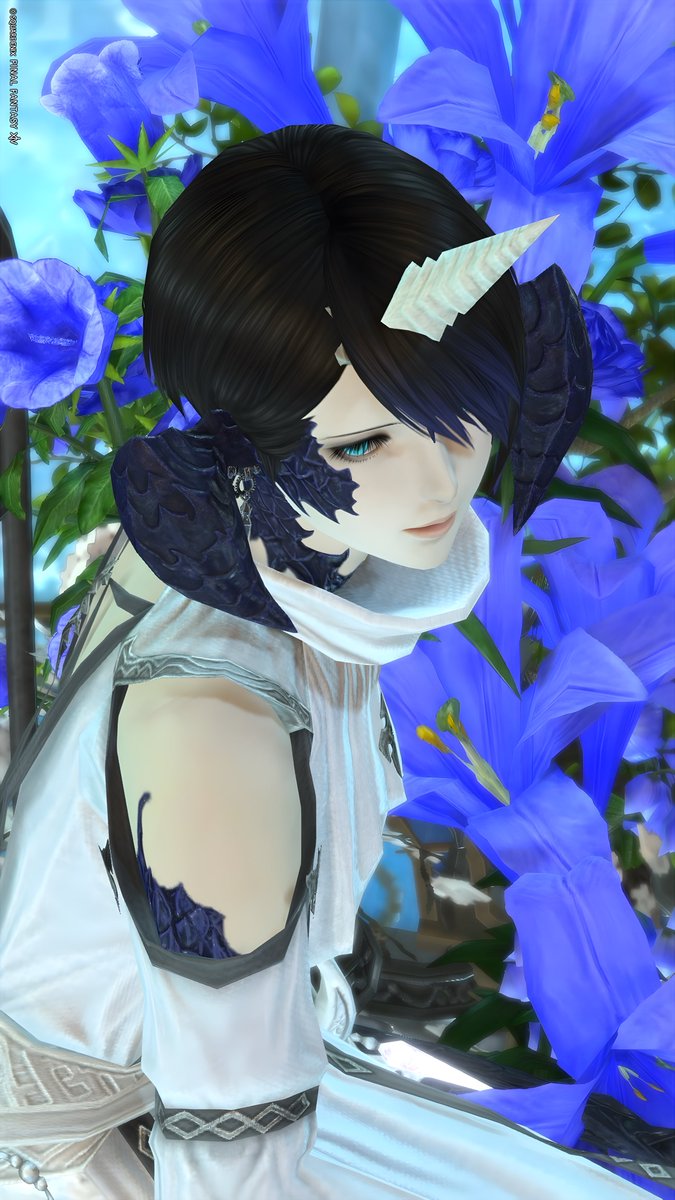 ff14_Zayn's tweet photo. #おはウラ☀️
Studio. #うちのこ展_Mana 様 #StudioBranch 様 https://t.co/fxNSkvbPml