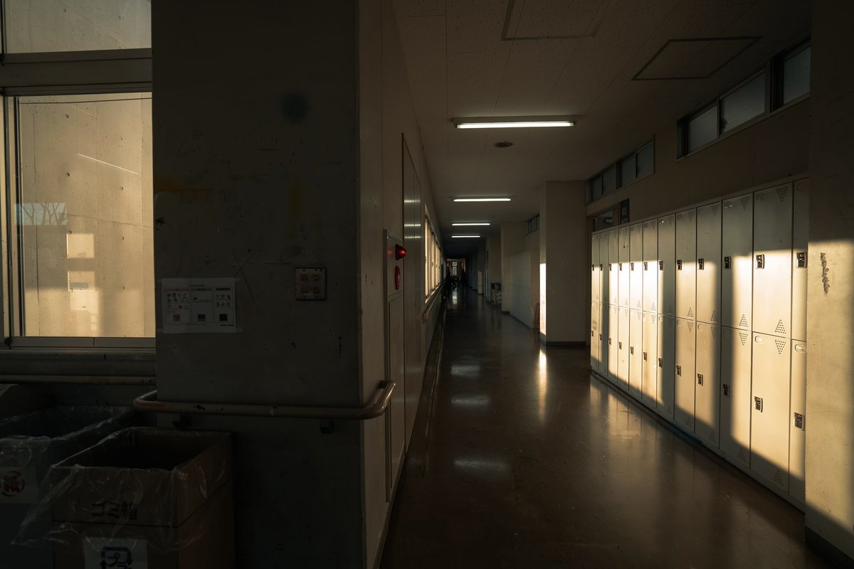 nyafu (@n55_pafu) on Twitter photo 