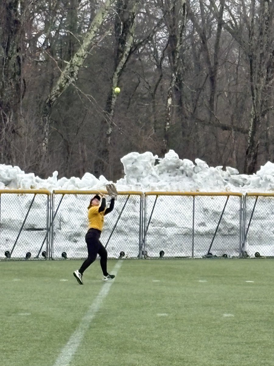 Framingham State Softball tweet media