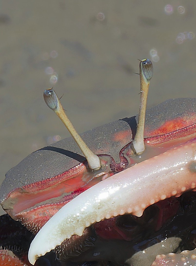 Genita_K tweet media