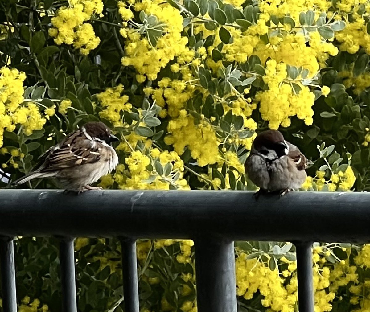 🇯🇵KAZU™ by Y.F (@kazu_konosu) / Posts / X