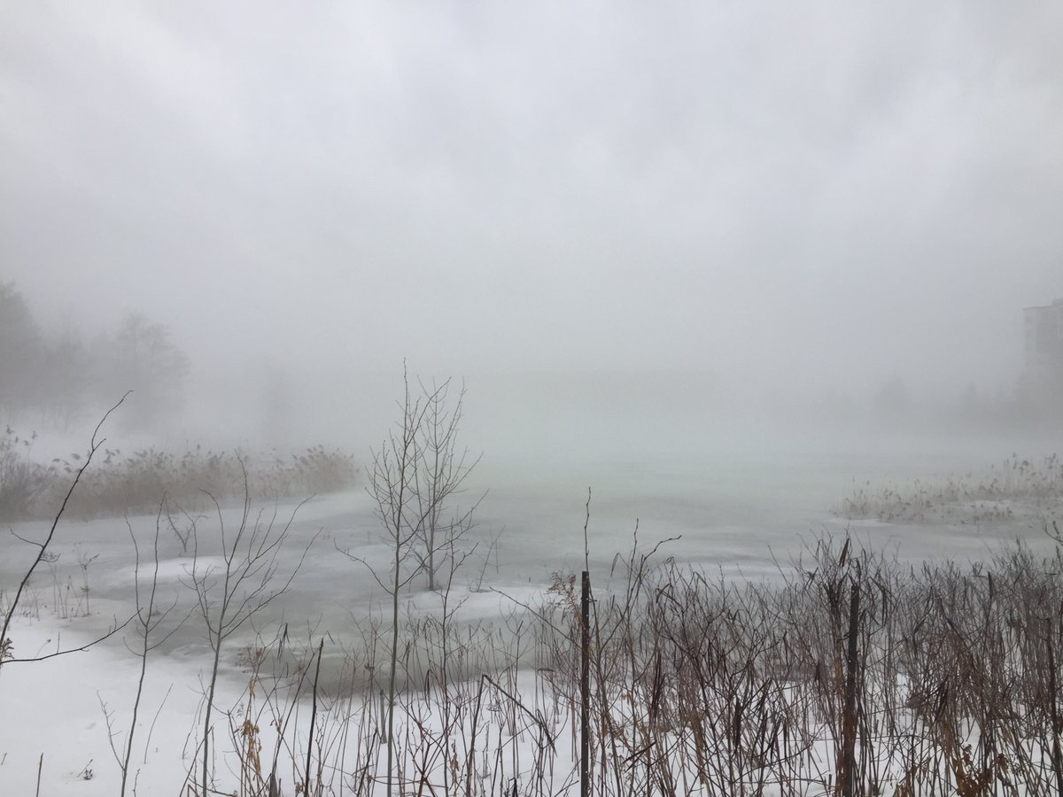 Michael Jacobs tweet media