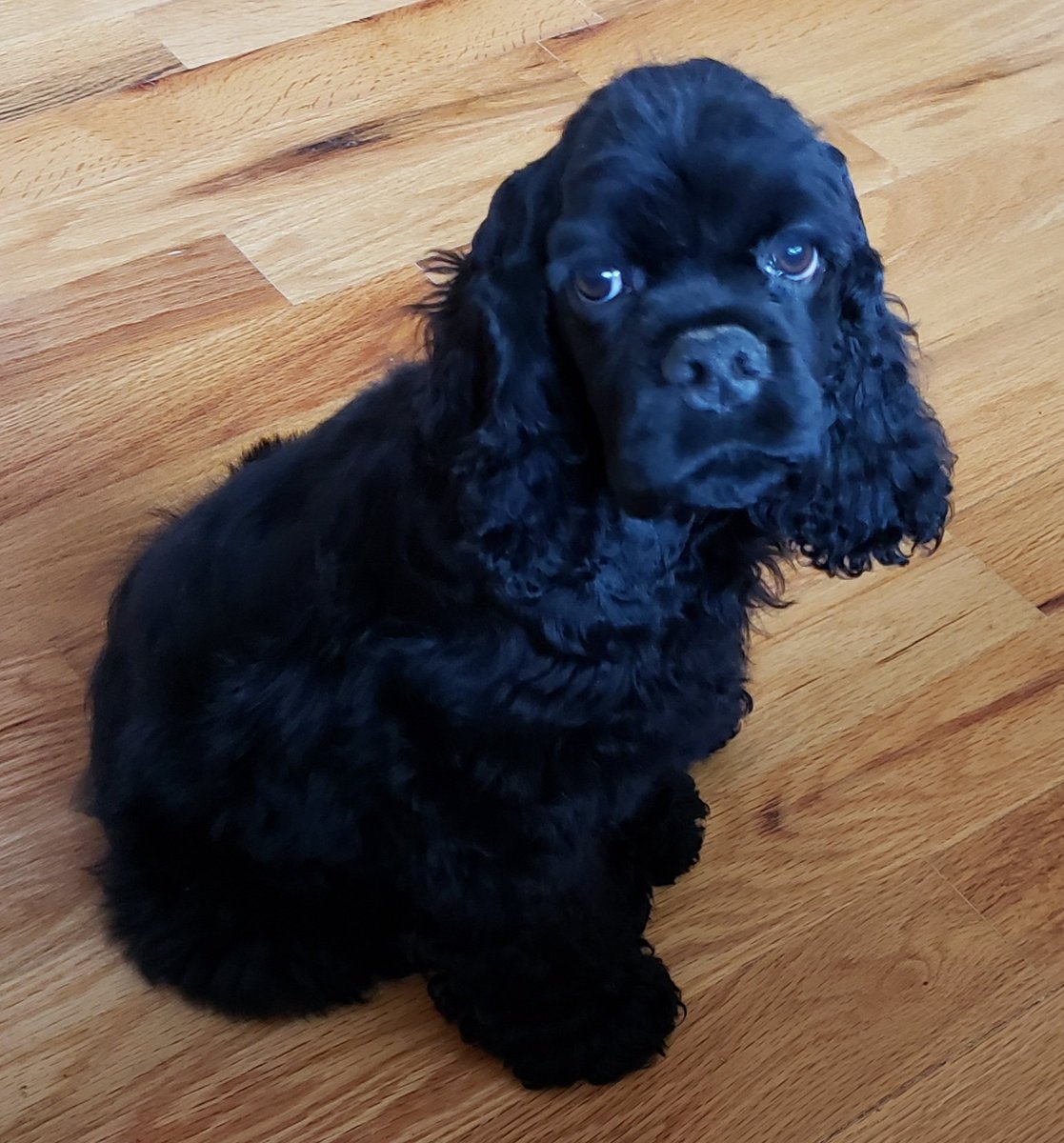 𝔻𝕠𝕔 𝕒𝕟𝕕 ℍ𝕒𝕡𝕡𝕪 tweet media