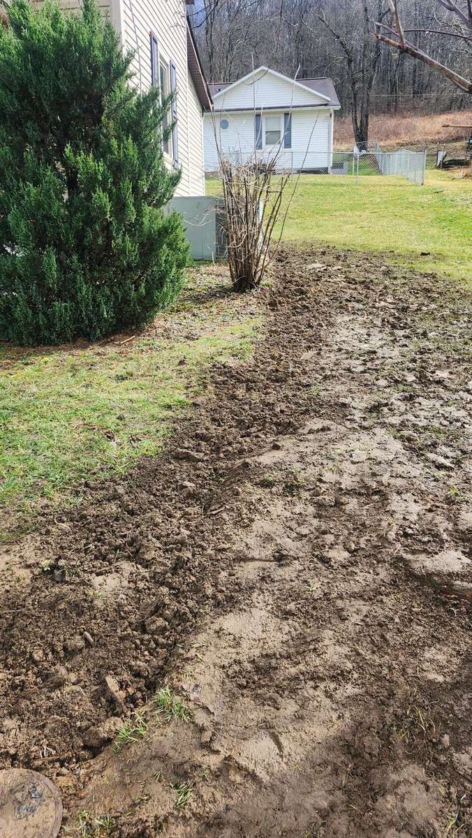 Overload tweet media