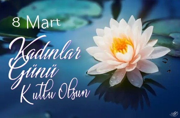 Kadına karşı her türlü ayrımcılığın ve şiddetin son bulacağı bir dünya dileğiyle...