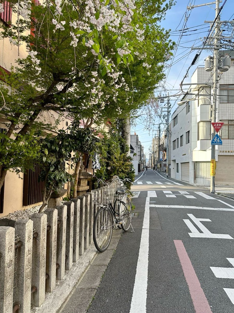 lassybees's tweet photo. streets of japan https://t.co/EOn96cgm8T