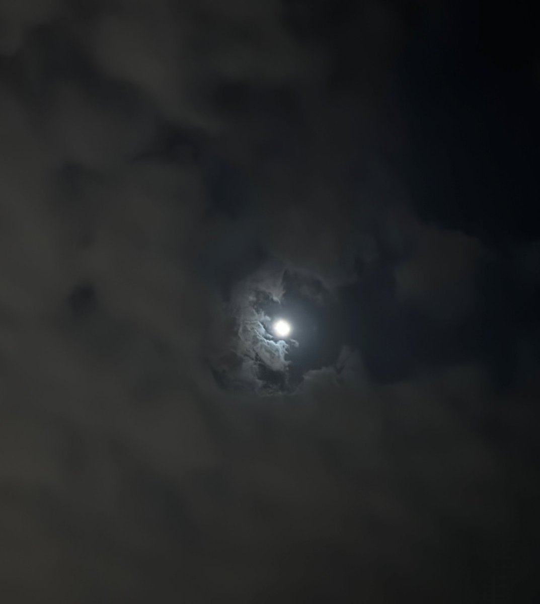 كل الذين فهموا الحياة جيداً ..

اختاروا البساطة والهدوء وقلة الظهور …

#حبيت_أقول