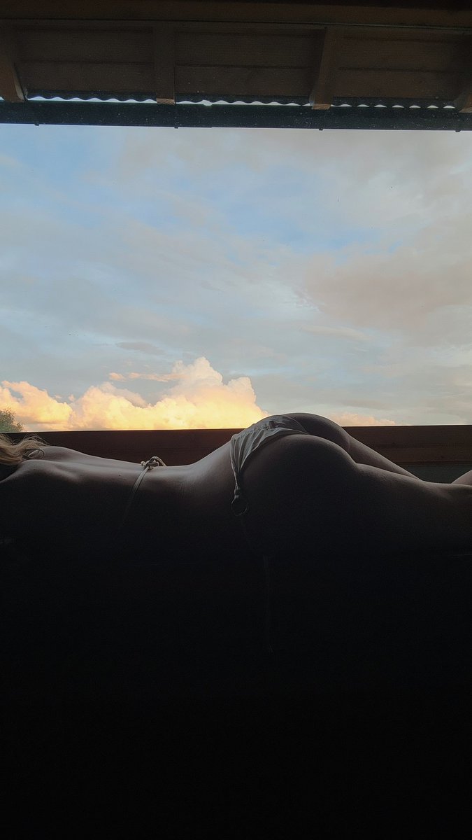 Ditto 🔞 tweet media